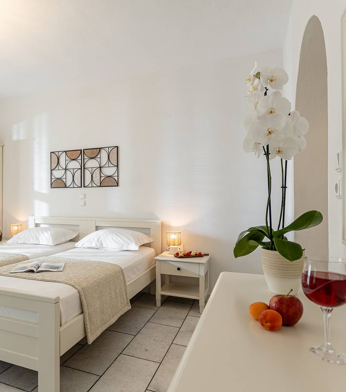Standard Triple Studio Room in Naxos